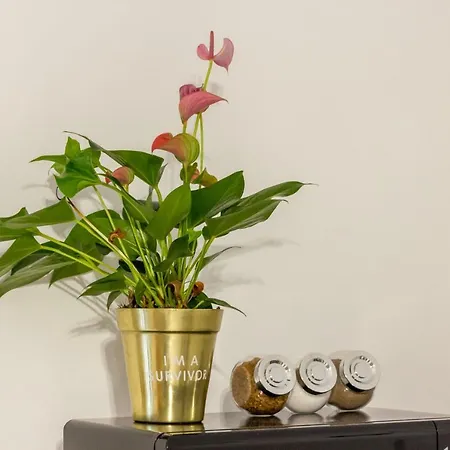 Quiet Old Town Hideout Daire *