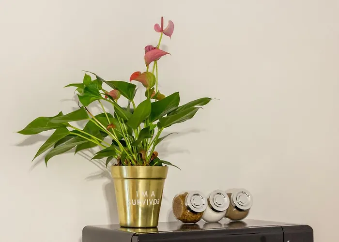 Quiet Old Town Hideout Apartman *